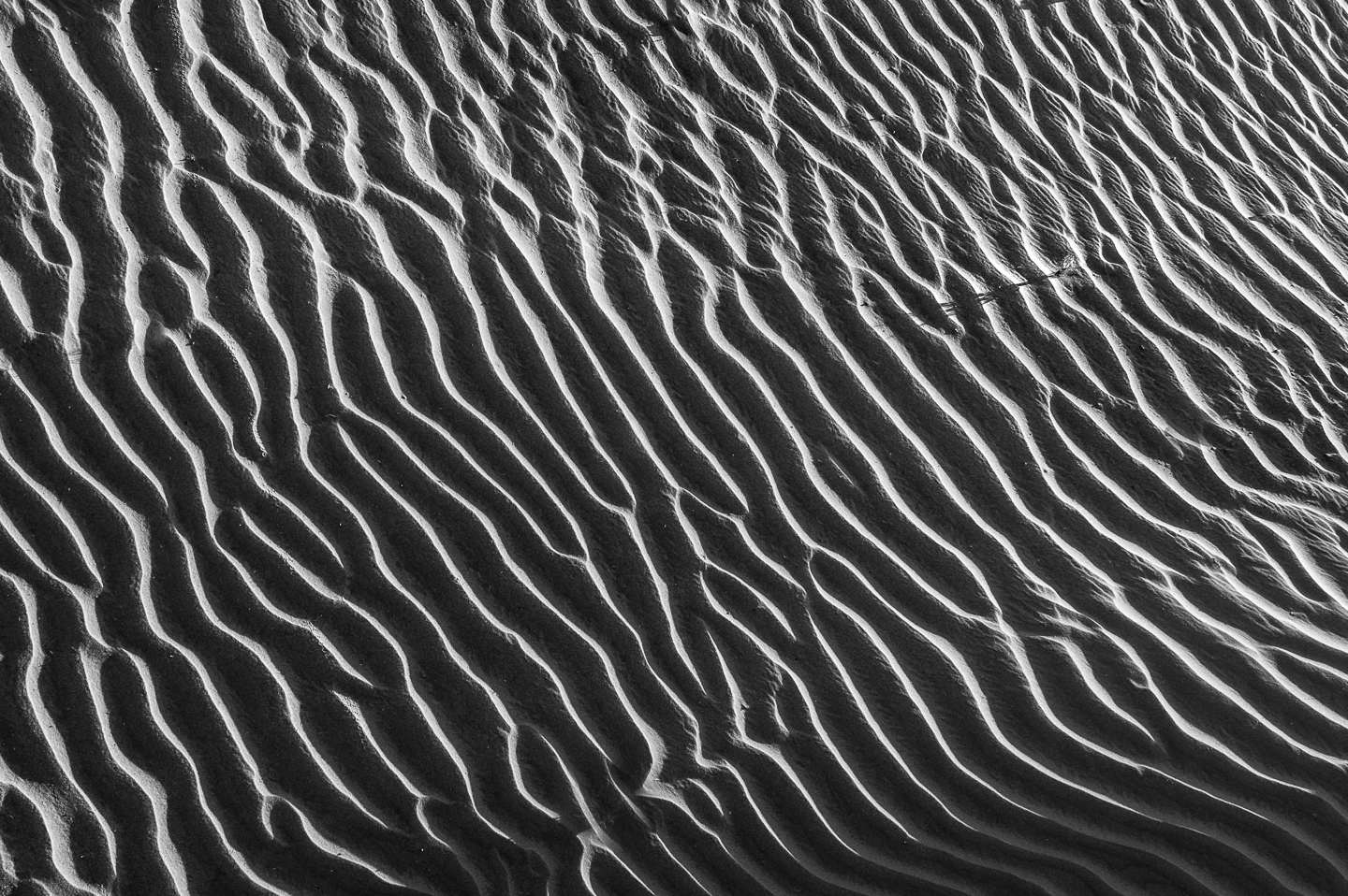 EM_2017_June_05_Namibia_1563