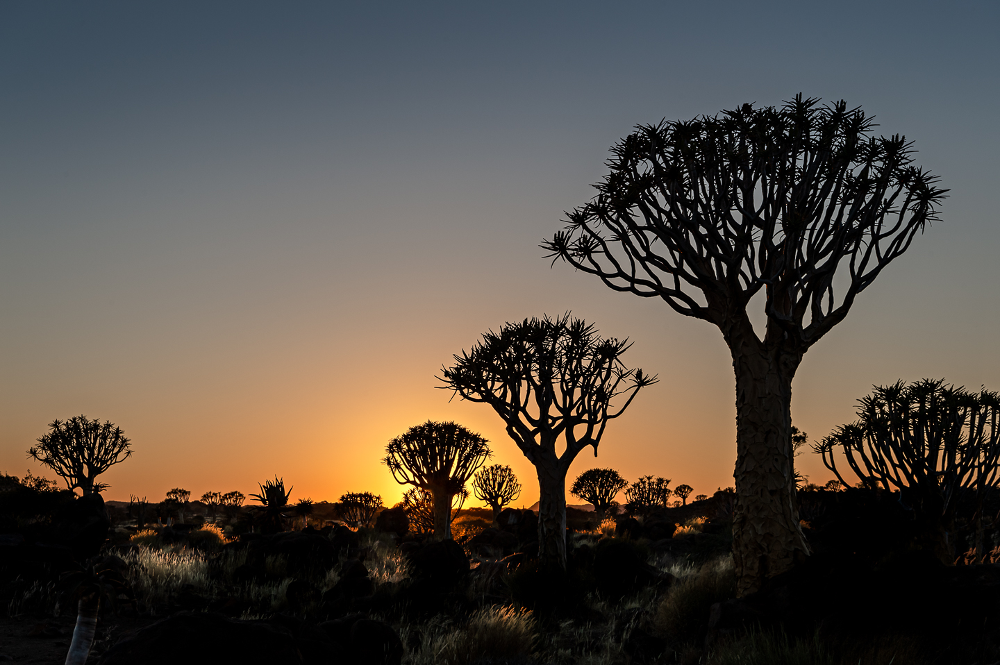 EM_2017_May_31_untitled_089-Edit