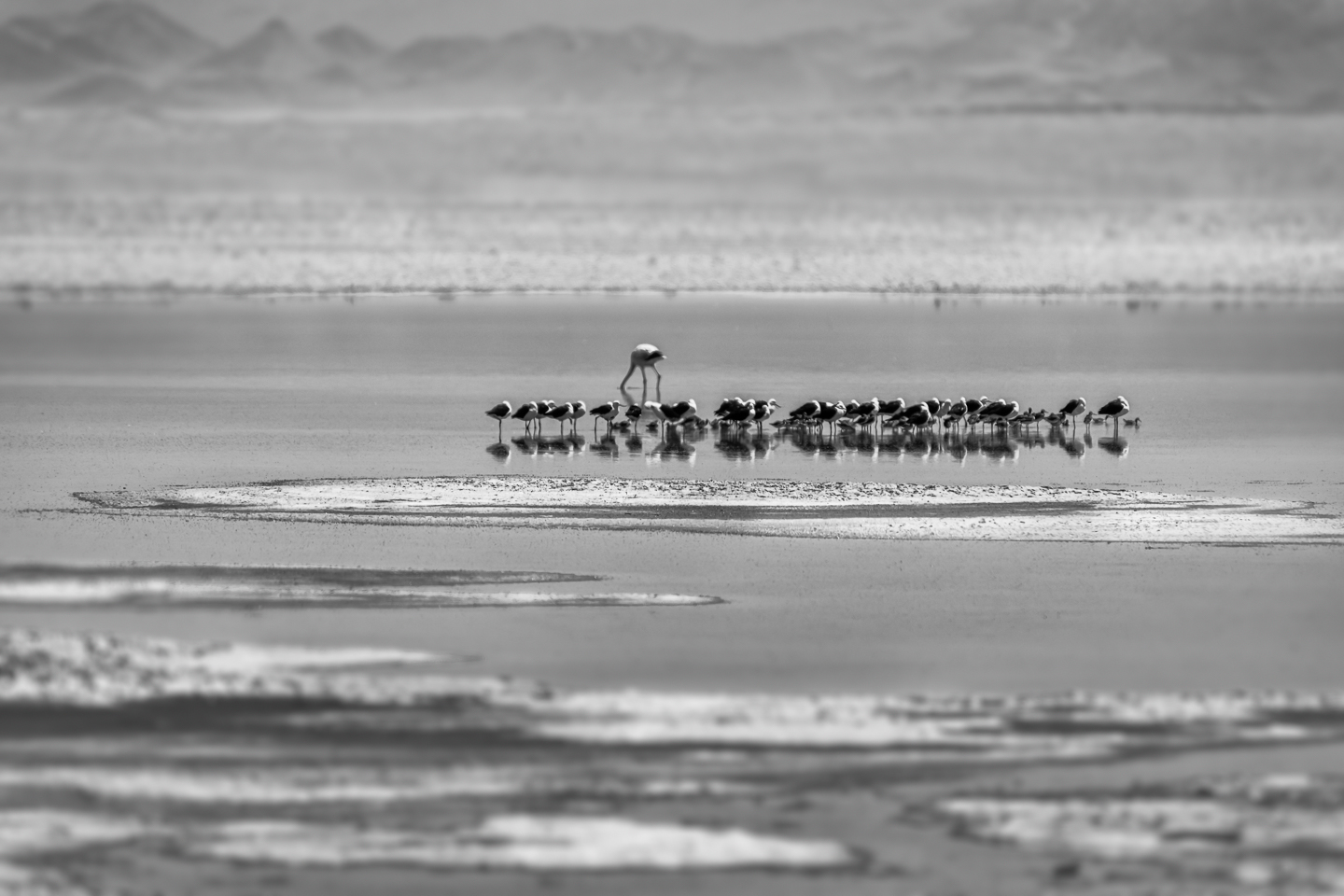 EM_2018_March_11_Atacama_Uyuni__DSC0276-Edit-Edit