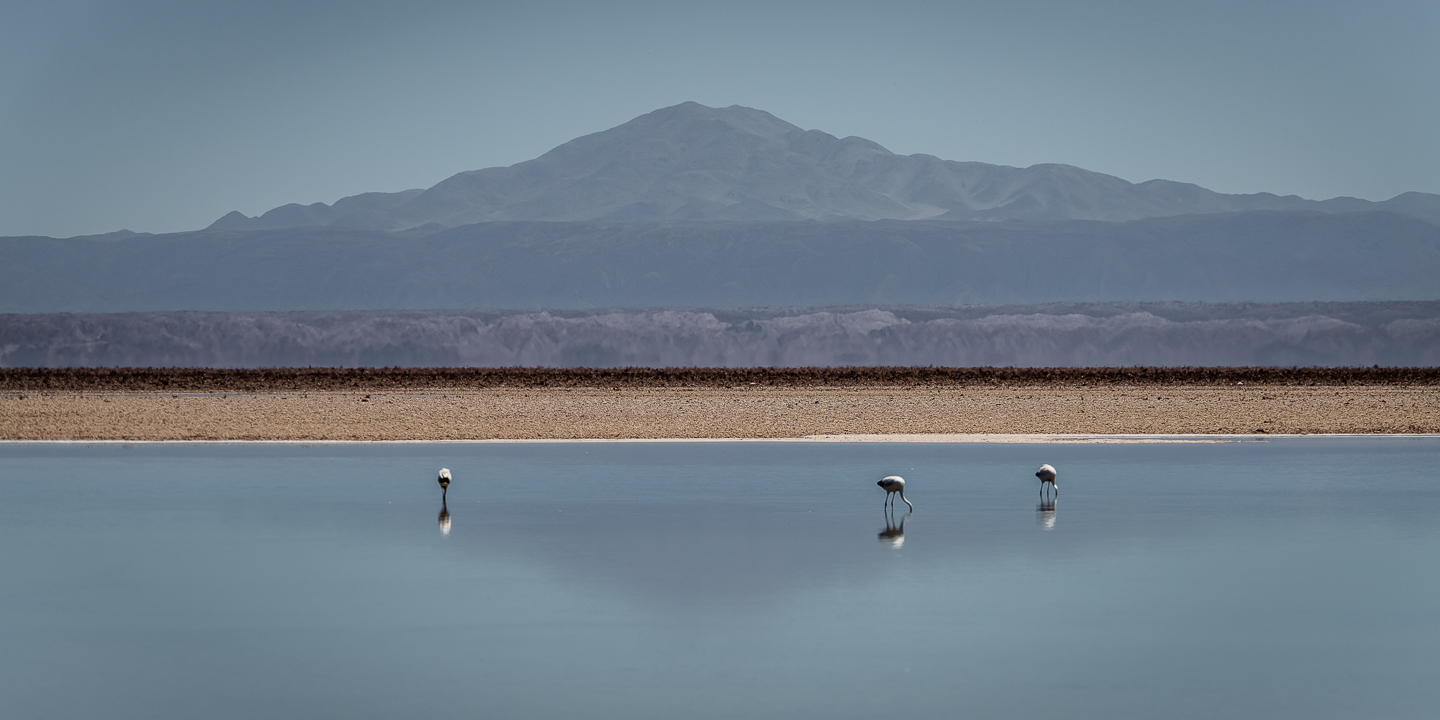 EM_2018_March_11_Atacama_Uyuni__DSC0305-Edit