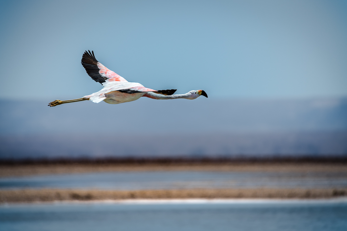 EM_2018_March_11_Atacama_Uyuni__DSC0319-Edit