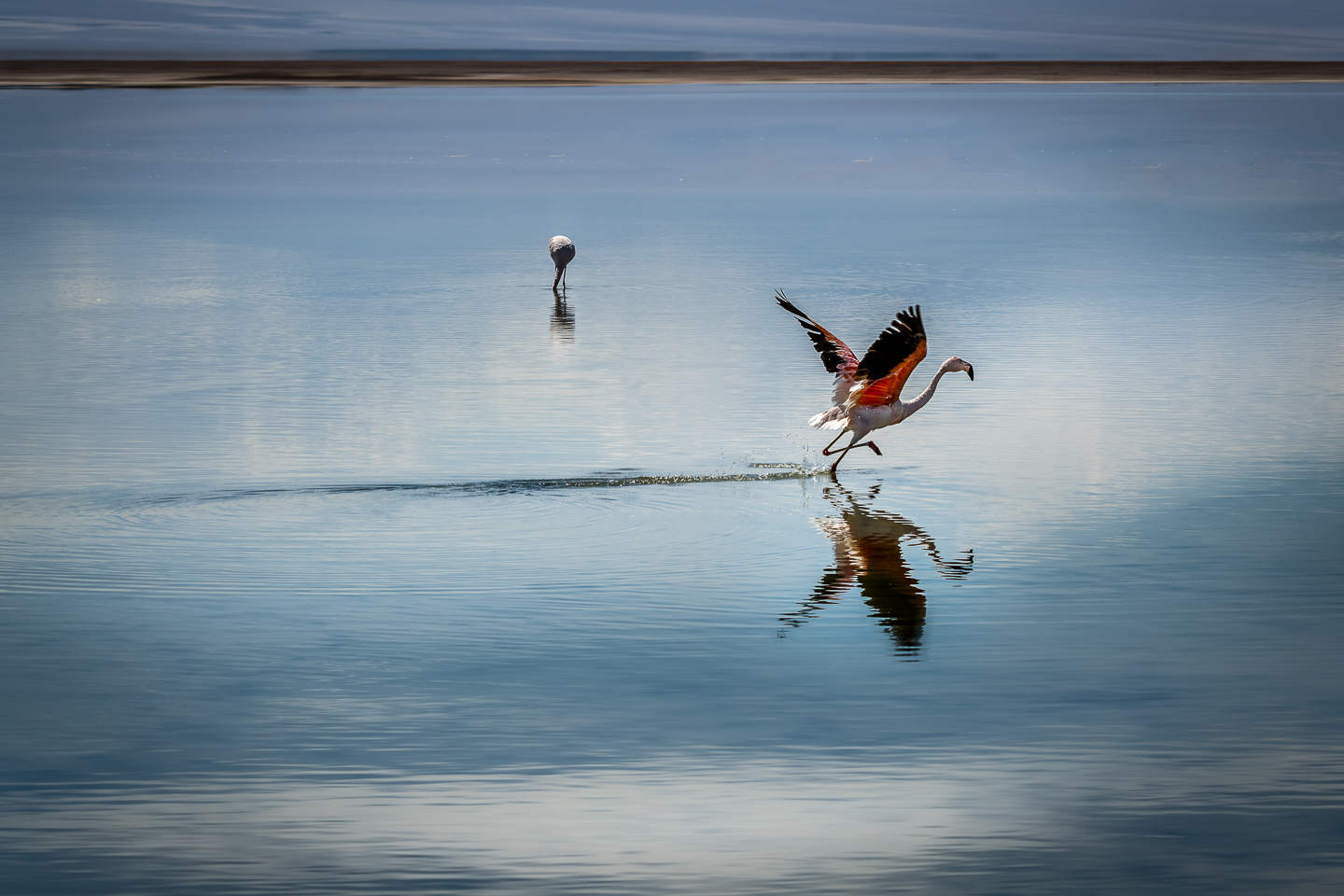 EM_2018_March_19_Atacama_Uyuni__EMP2460-Edit