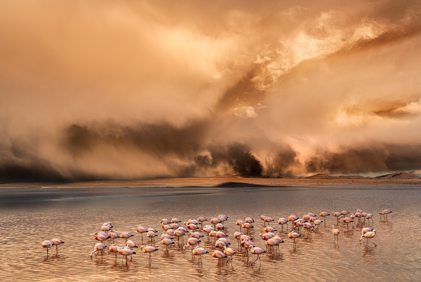 EM_2018_March_20_Atacama_Uyuni__EMP3132-Edit