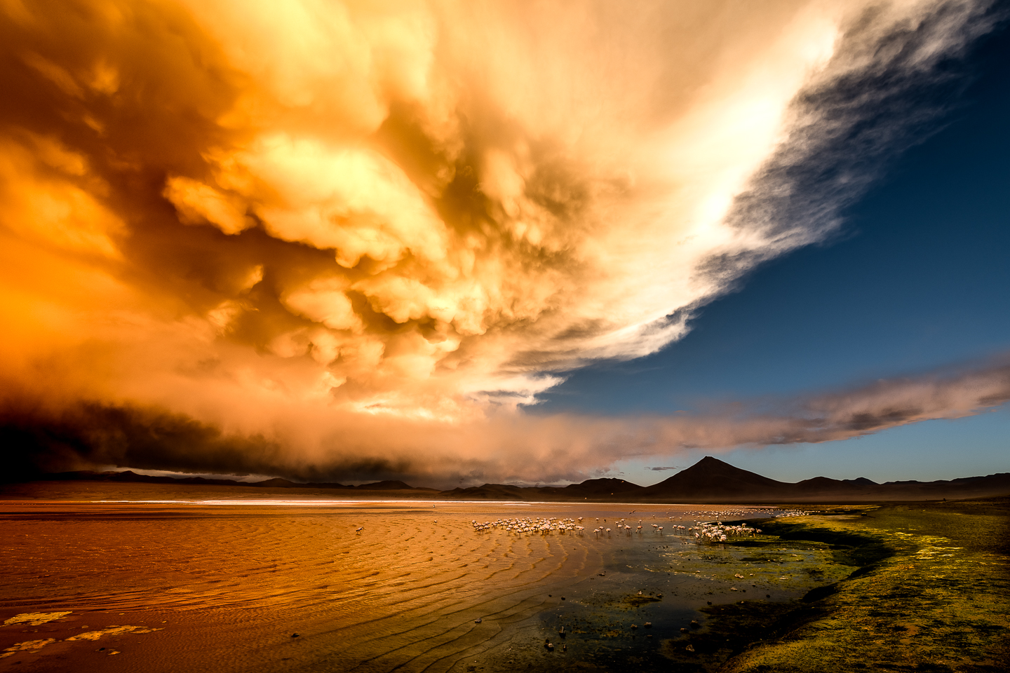 EM_2018_March_20_Atacama_Uyuni__EMP3204-Edit