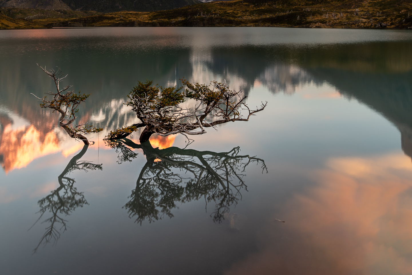 EM_2019_Apr_10_Torres_del_Paine__EMP9232-Edit-2