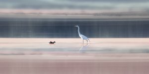 EM_2019_Jan_25_Piracicaba__EMP8941-Edit