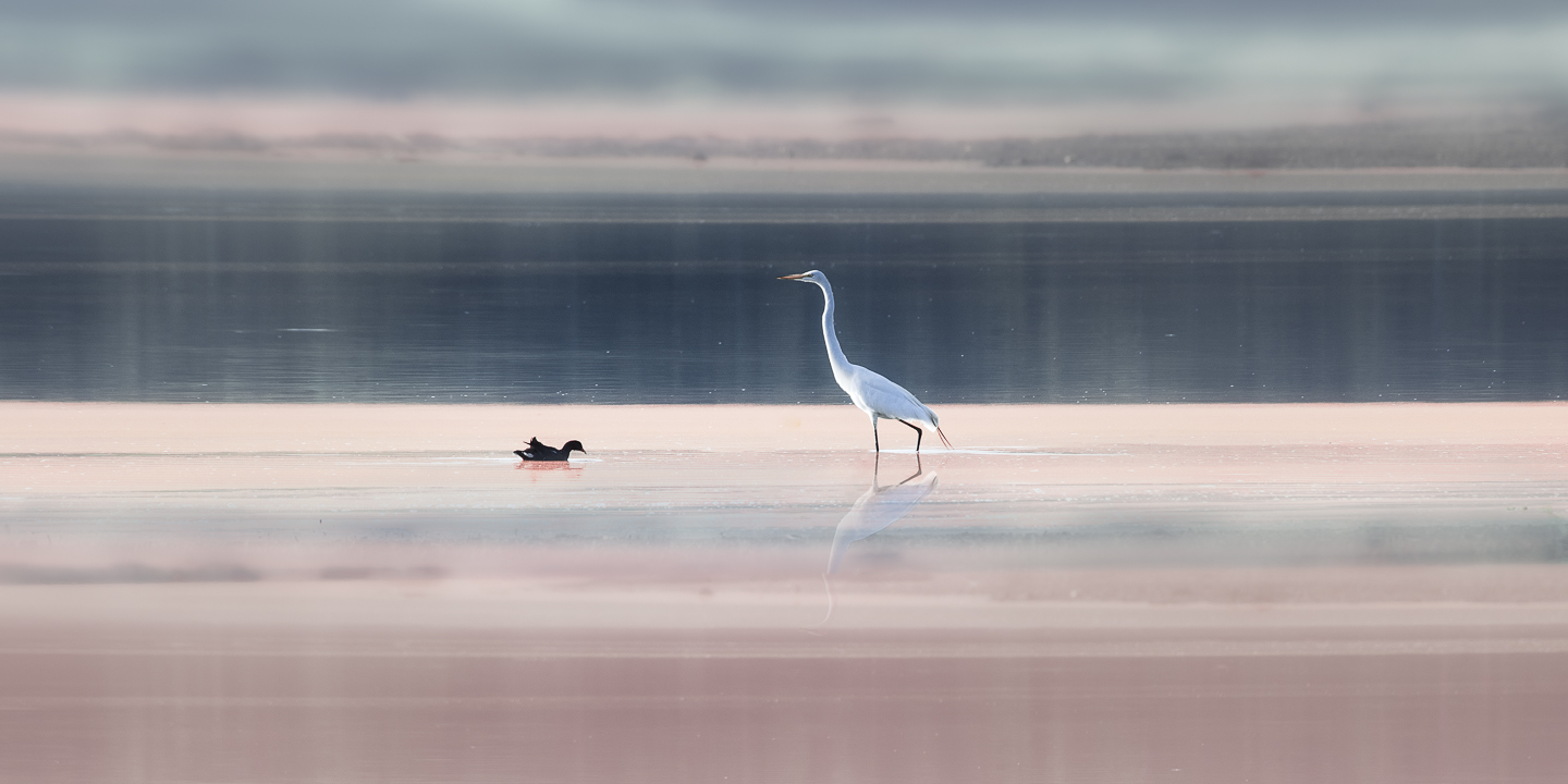 EM_2019_Jan_25_Piracicaba__EMP8941-Edit