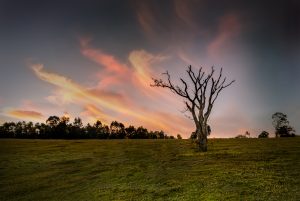 EM_2019_Jul_27_Piracicaba_2__EMP1608-Edit-Edit-Edit