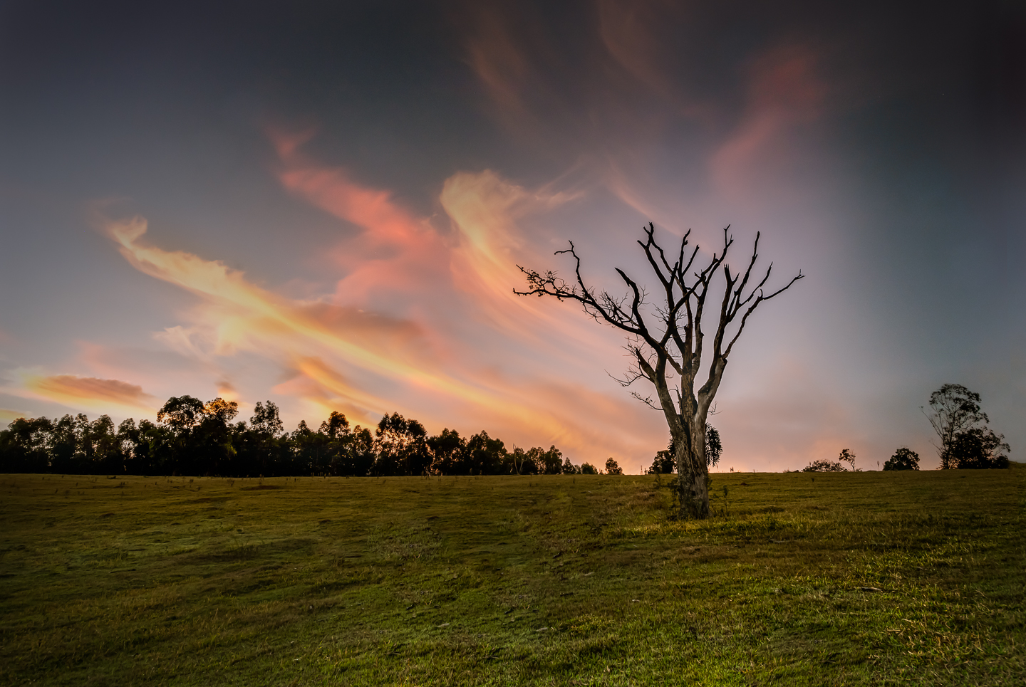 EM_2019_Jul_27_Piracicaba_2__EMP1608-Edit-Edit-Edit
